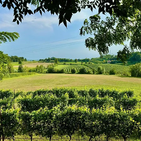 Residenza Le Vigne Holiday home