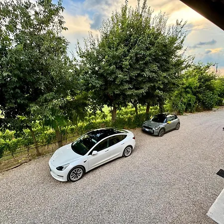 Holiday home Residenza Le Vigne *